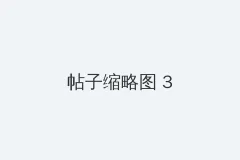 好奇的小白的头像